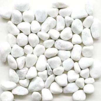 Comprar o produto de Seixo banco (pedra branca para jardim)  em Floriculturas em Botucatu, SP por Solutudo