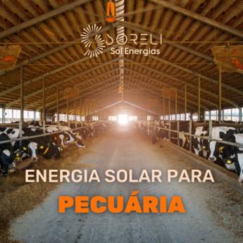 Comprar o produto de Energia Solar para Pecuária  em Energia Solar em Foz do Iguaçu, PR por Solutudo