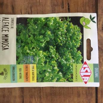 Comprar o produto de semente alface mimosa salada  em A Classificar pela empresa Botucatu Garden em Botucatu, SP por Solutudo