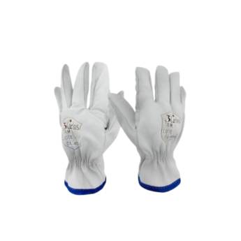 Comprar o produto de Luva de Vaqueta  em EPI - Equipamentos de Proteção Individual pela empresa Protektus EPI e Sinalização em Lençóis Paulista, SP por Solutudo