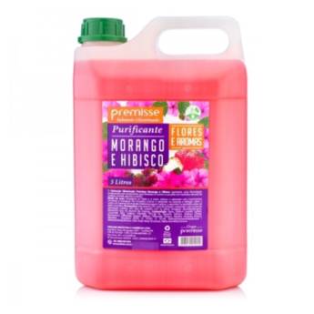 Comprar o produto de Sabonete Liquido Morango e Hibisco Premisse 5 litros em Higiene Pessoal pela empresa EmbalaFoz em Foz do Iguaçu, PR por Solutudo