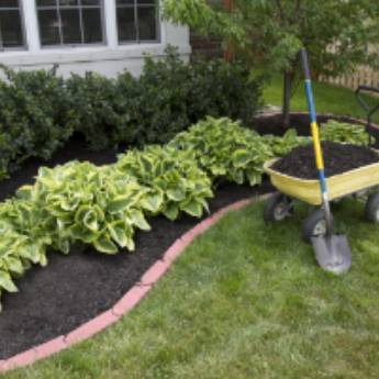 Comprar o produto de Jardinagem em Outros Serviços em Indaiatuba, SP por Solutudo