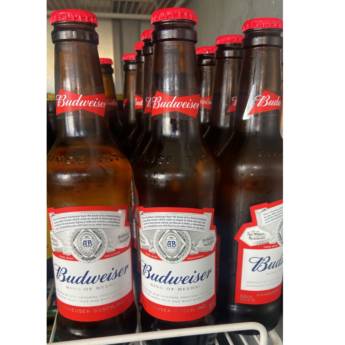 Comprar o produto de cerveja budweiser  em Cervejas pela empresa Empório Primare Bebidas e Eventos - Loja 02 em Mineiros, GO por Solutudo
