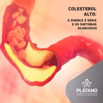 Comprar o produto de Exames de Colesterol em Saúde pela empresa Vitagen Laboratório de Análises Clínicas - Centro em Foz do Iguaçu, PR por Solutudo