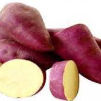 Comprar o produto de BATATA DOCE 500g em Hortifruti pela empresa JB Frutas e Legumes em São Paulo, SP por Solutudo