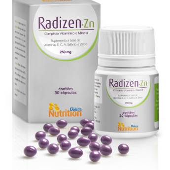 Comprar o produto de RADIZEN - Zn - complexo antioxidante (gravidade zero) em Outros em Assis, SP por Solutudo