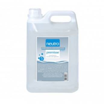 Comprar o produto de Sabonete Liquido Neutro Glicerinado Premisse 5 litros em Higiene Pessoal pela empresa EmbalaFoz em Foz do Iguaçu, PR por Solutudo