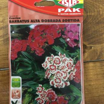 Comprar o produto de semente cravina barbatus em A Classificar pela empresa Botucatu Garden em Botucatu, SP por Solutudo