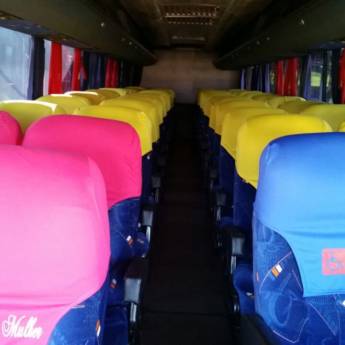Comprar produto Ônibus Executivo - 50 lugares em Viagens e Turismo pela empresa Barreto Turismo em Foz do Iguaçu, PR