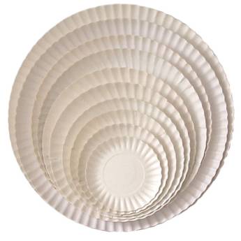 Comprar o produto de Pratos de Papelão em Outros em Jaú, SP por Solutudo