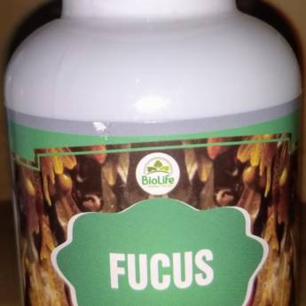 Comprar o produto de FUCUS 60 CAP em Suplementos Alimentares em Aracaju, SE por Solutudo