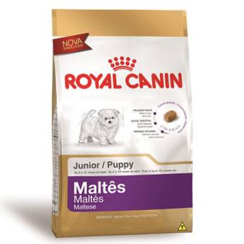 Comprar o produto de MALTÊS PUPPY ROYAL CANIN em Outros em Barra Bonita, SP por Solutudo