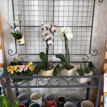 Comprar o produto de Aparador em ferro em Decoração - Objeto para Decoração em Americana, SP por Solutudo