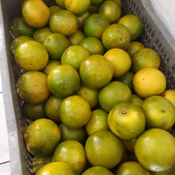 Comprar o produto de Suco de laranja NATURAL  em A Classificar em Bauru, SP por Solutudo