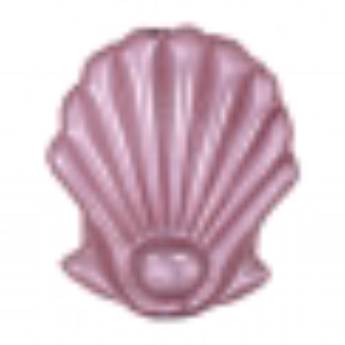 Comprar o produto de Boia Concha em Brinquedos e Hobbies em Mineiros, GO por Solutudo