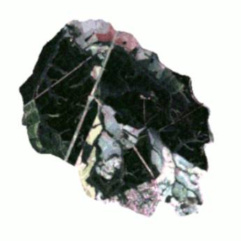 Comprar o produto de Índices Vegetativos em Consultoria em Botucatu, SP por Solutudo