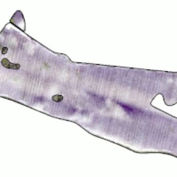 Comprar o produto de Aplicação em Taxa Variada em Consultoria em Gestão de Negócios em Botucatu, SP por Solutudo