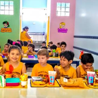 Comprar o produto de Infantilândia Pee Wee em A Classificar em Boituva, SP por Solutudo