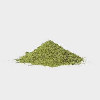 Comprar o produto de Chá de Moringa em Pó em Bebidas pela empresa Pronapi Produtos Naturais em Foz do Iguaçu, PR por Solutudo
