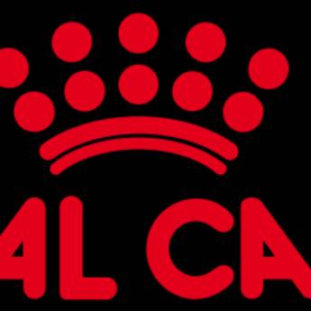 Comprar o produto de Ração Royal Canin em Ração para Cachorros em Amparo, SP por Solutudo