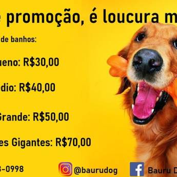 Comprar o produto de Banho - Porte Grande em Pet Shop em Bauru, SP por Solutudo