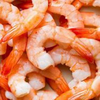 Comprar o produto de camarao em Alimentos em Mineiros, GO por Solutudo