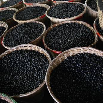 Comprar o produto de Freeze-Dried Fruit Powders em A Classificar em San Diego, CA por Solutudo