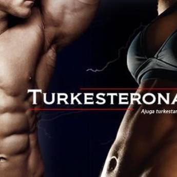 Comprar o produto de Turkesterona 500mg 30 cápsulas em Aumento da Testosterona  pela empresa Farmalu - Farmácia de Manipulação em Atibaia, SP por Solutudo