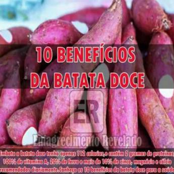 Comprar o produto de batata doce (orgânicos) em A Classificar em Jaboticabal, SP por Solutudo