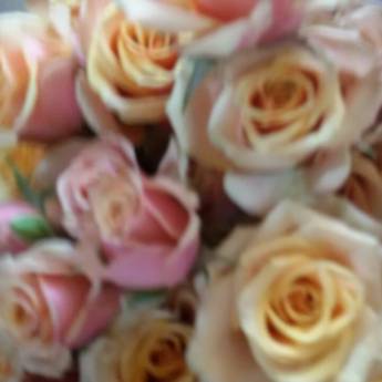 Comprar o produto de Rosas em A Classificar em Bauru, SP por Solutudo