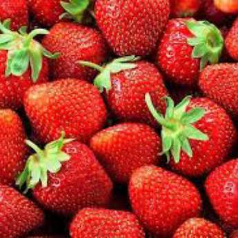 Comprar o produto de Morango direto do produtor em Alimentos em Jundiaí, SP por Solutudo