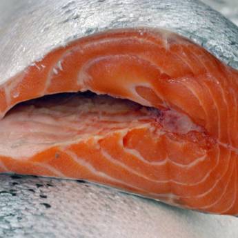 Comprar o produto de Salmão em Alimentação Saudável em Praia Grande, SP por Solutudo