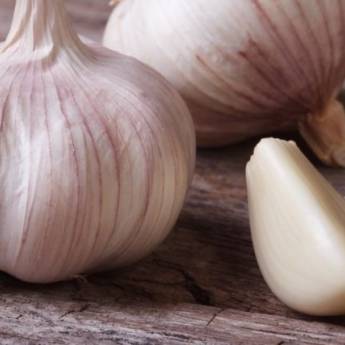 Comprar o produto de Alho em Alimentos em Jundiaí, SP por Solutudo