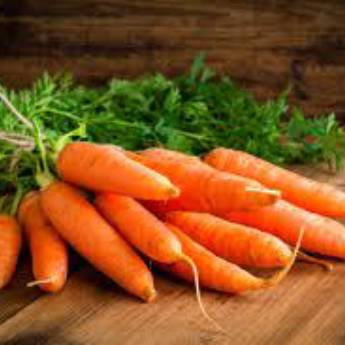Comprar o produto de Cenoura em Alimentos em Jundiaí, SP por Solutudo