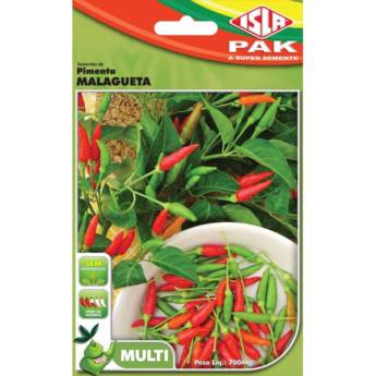 Comprar o produto de semente pimenta malagueta em A Classificar em Botucatu, SP por Solutudo