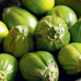 Comprar o produto de Jiló em Alimentos em Jundiaí, SP por Solutudo