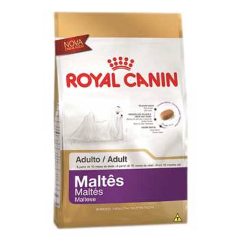 Comprar o produto de MALTÊS ADULT ROYAL CANIN em Outros em Barra Bonita, SP por Solutudo