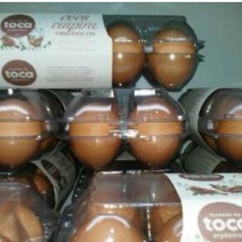 Comprar o produto de Ovos Caipiras Orgânicos em A Classificar em Jaboticabal, SP por Solutudo