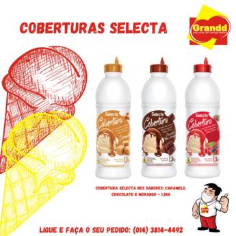 Comprar o produto de COBERTURA SELECTA CHOCOLATE ,BAUNILHA E MORANGO em Alimentos em Botucatu, SP por Solutudo