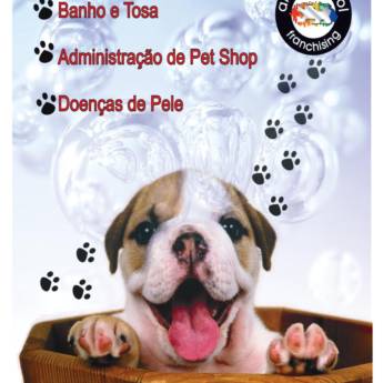 Comprar o produto de Curso de Pet Shop (com Banho e Tosa) em Outros Serviços em Tatuí, SP por Solutudo