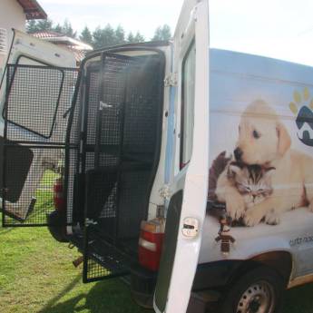 Comprar o produto de Taxi Dog em Animais em Botucatu, SP por Solutudo