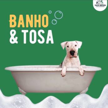 Comprar o produto de Banho e Tosa em Clínicas Veterinárias em Botucatu, SP por Solutudo