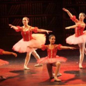 Comprar o produto de Ballet Clássico em Outros em Itatiba, SP por Solutudo