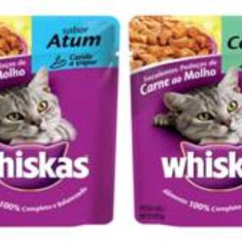 Comprar o produto de Whiskas Sachet em Ração para Gatos em Botucatu, SP por Solutudo