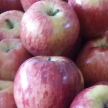 Comprar o produto de Maçã em Avaré em Alimentos e Bebidas em Avaré, SP por Solutudo