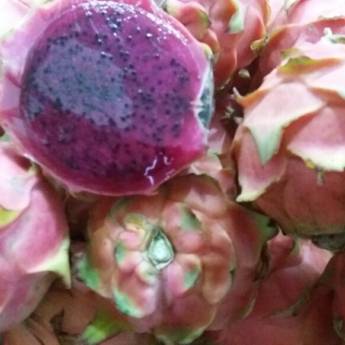 Comprar o produto de Pitaia em Avaré em Alimentos e Bebidas em Avaré, SP por Solutudo