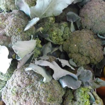 Comprar o produto de Brócolis no Sacolão Nossa Senhora de Fátima em Alimentos e Bebidas em Avaré, SP por Solutudo