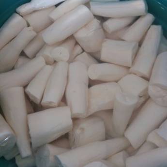 Comprar o produto de Mandioca em Avaré em Alimentos e Bebidas em Avaré, SP por Solutudo