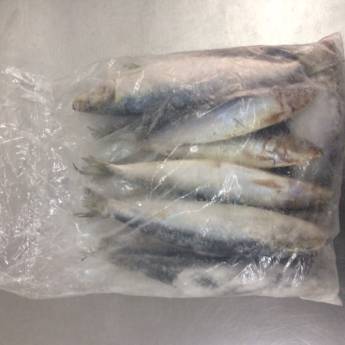 Comprar o produto de Sardinha congelada em Avaré em Alimentos e Bebidas em Avaré, SP por Solutudo