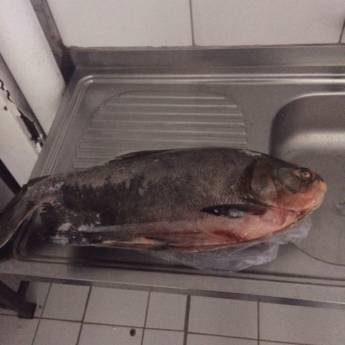 Comprar o produto de Peixaria Donnini em Avaré em Alimentos e Bebidas em Avaré, SP por Solutudo